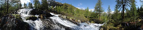 P007622: Panorama Wasserfall in lichtem Lärchenwald (Bergbach)