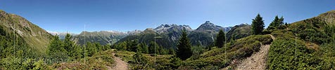 P008392: Panoramabild Lichter Lärchenwald in Berglandschaft