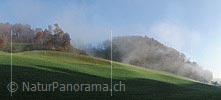 P008795: Panoramabild Herbstmorgen in Hügellandschaft