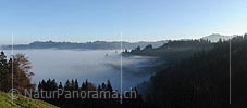P008803: Panoramabild Morgenstimmung an der Nebelgrenze