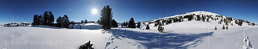 P009019: Panorama Winterlandschaft in den Berner Voralpen
