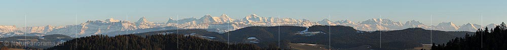 P009151a: Panorama Berner Alpen im Abendlicht