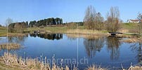 P009173: Hochauflösendes Bild Teich mit Schilfgürtel