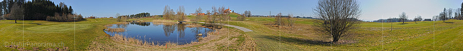 P009174: Panoramafoto Teich mit Schilfgürtel