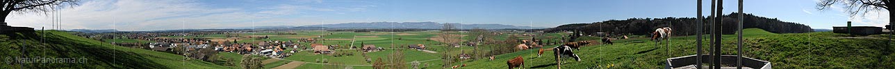 P009342: Panoramabild Berner Mittelland (Flachland)