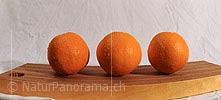 P009362: Panorama Orangen (Früchte) auf Holzbrett