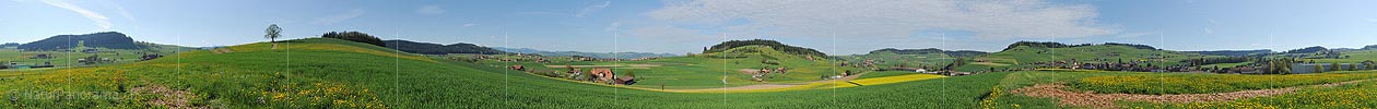 P009631: 360° Panoramafoto einer lieblichen Frühlingslandschaft