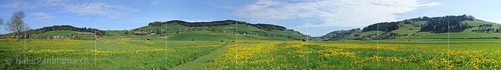 P009661: Gigapixel-Panoramabild Frühling in Hügellandschaft