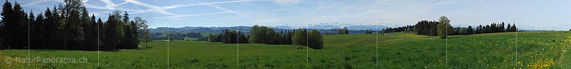 P009705: Kulturlandschaft