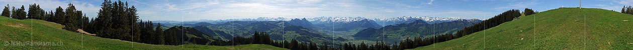 P009747: 360° Panoramabild Langmatt/Rossberg
