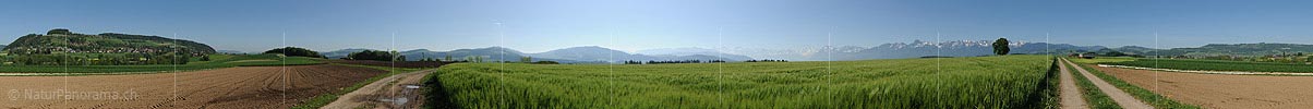 P009795: 360° Panoramafoto Kulturland bei Kirchdorf