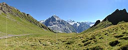 P010496: Panoramafoto Alpweide und Wetterhorn