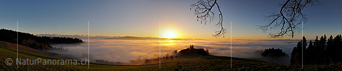 P010916b: Panorama Abendstimmung mit Nebelmeer und feinen Farbabstufungen