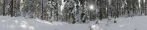 P012112: 360° Panoramafoto Tief verschneiter Winterwald