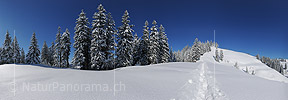 P012124a: Panoramafoto Tief verschneite Hügellandschaft