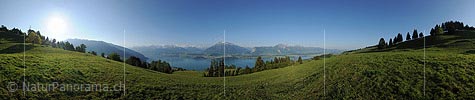 P012772: 360° Panoramafoto Saftige Alpweide über dem Thunersee