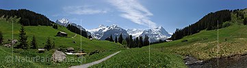 P012933: Panoramafoto Berner Alpen (Wetterhorn und Co.) von Grindelwald