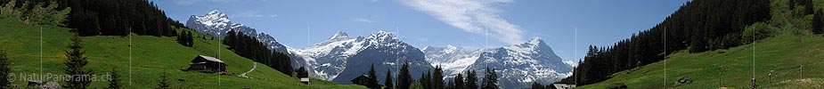 P012933a: Panorama Saftig grüne Alpwiesen vor den Berner Alpen (Wetterhorn und Co.)