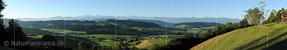 P013543: Grosses Panoramafoto Emmentaler Hügellandschaft im Morgenlicht