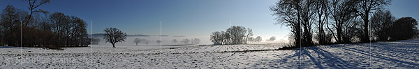 P014011: Panorama Einzelbäume und Baumgruppen im aufkommenden Nebel
