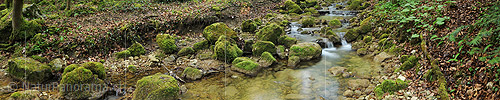 P014432a: Panoramafoto Bach im Frühlingswald (Langzeitbelichtung)