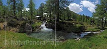 P014691: Panoramafoto Bergbach mit Wasserbecken in Naturlandschaft