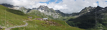 P014882: Panoramafoto Alphütte und Kuherde in Berglandschaft