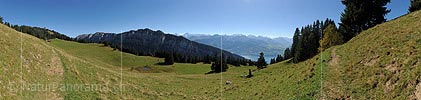 P015211: Panoramabild Alp in den Berner Voralpen