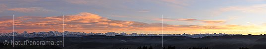 P015607a: Panoramafoto Abendstimmung mit gefärbten Wolken über den Berner Alpen