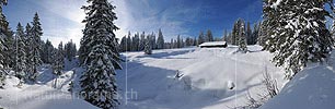 P015667: Panoramafoto Alphütte in frisch verschneiter Waldlandschaft