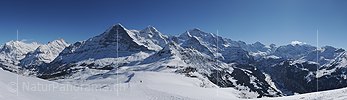 P015754f: Panoramafoto Berner Alpen mit Eiger, Mönch und Jungfrau im Winter