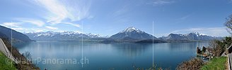 P015889a: Panoramafoto Thunersee, Niesen und Stockhorn