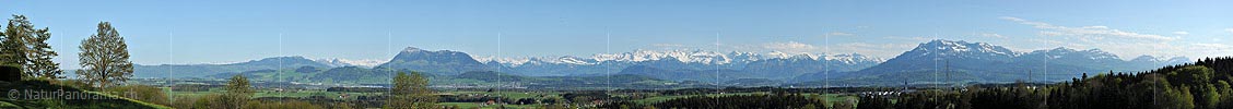 P016034: Panoramafoto Zentralalpen