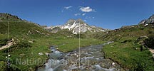 P016419: Panoramafoto Ofenhorn