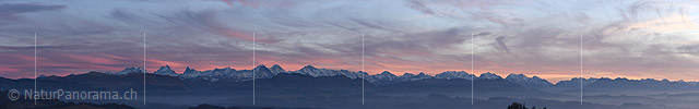 P016936: Panoramafoto Fein gefärbte Schleierwolken über den Berner Alpen