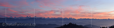 P016938a: Panoramafoto Abendrot über den Berner Alpen