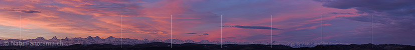 P017545a: Panoramafoto Morgenstimmung/Föhnstimmung über den Berner Alpen