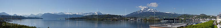 P017591a: Panoramafoto Luzerner Seebecken und Zentralalpen von Luzern