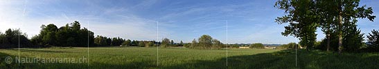 P017807: Panoramafoto Blick in das Naturschutzgebiet Wauwilermoos