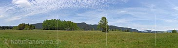 P017864: Panoramafoto Moorlandschaft bei Rothenthurm