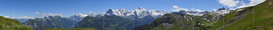 P018067e: Panoramafoto Kette der Berner Alpen im Sommer
