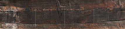 P018661: Panorama Struktur Holz antik (Lärche)