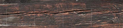 P018671: Panoramabild Strukur Holz antik (Lärche)