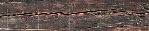 P018672: Panoramabild Strukur Holz antik (Lärche)