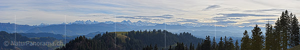 P018951a: Panoramafoto Emmentaler Hügel und Berner Alpen