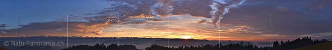 P019012: Panoramafoto Pastellfarbige Stimmung kurz vor dem Sonnenuntergang