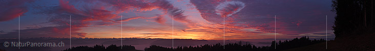 P019021b: Panoramafoto Kunstvoll geformte glühende Wolken am Abendhimmel