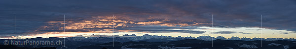 P019167: Panoramafoto Morgenstimmung über den Berner Alpen