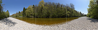 P019618: Gigapixel-Panoramafoto Fluss und Frühlinswald