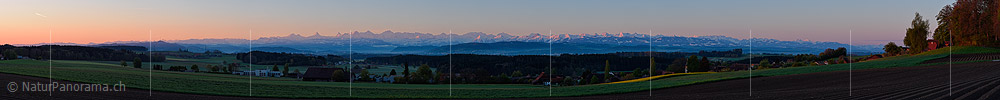 P019633a: Panoramafoto Alpenpanorama von Meikirch/Bern